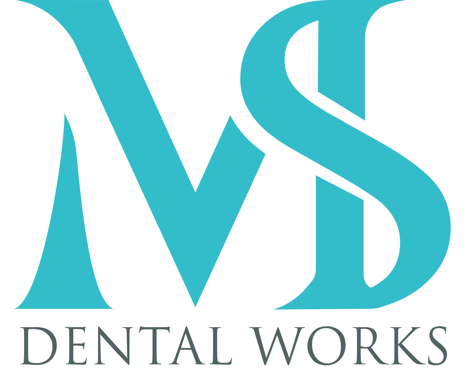 MS Dental Works